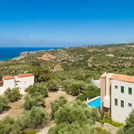 Olive * Gerani (Rethymno)