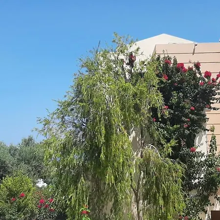 Villa Olive *